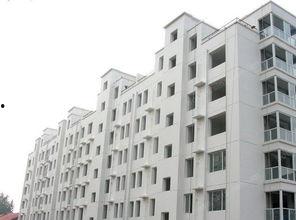 石家庄万和最新爆料,最新爆料抢先看